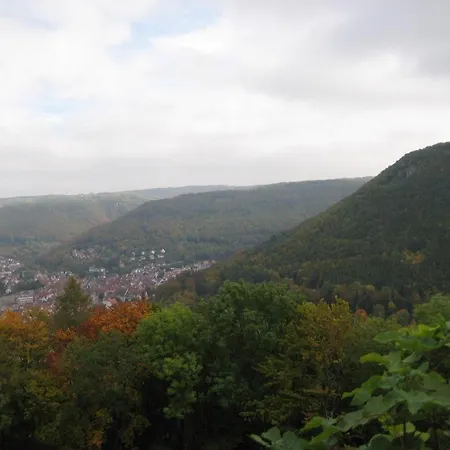 Loewen Dettingen an der Erms